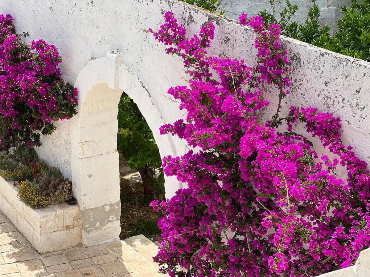 Masseria Piccole Taverne Rosa Marina Exterior foto