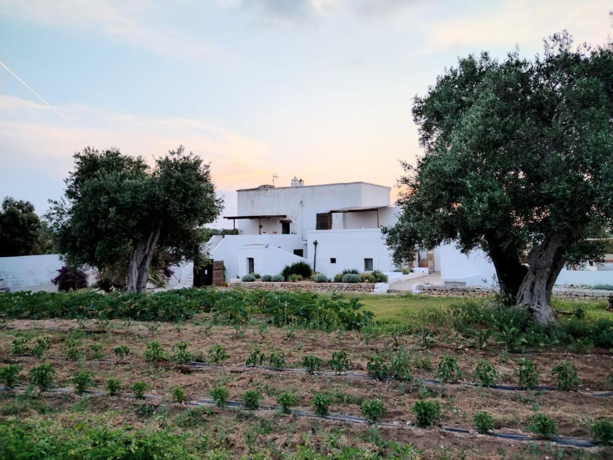 Masseria Piccole Taverne Rosa Marina Exterior foto