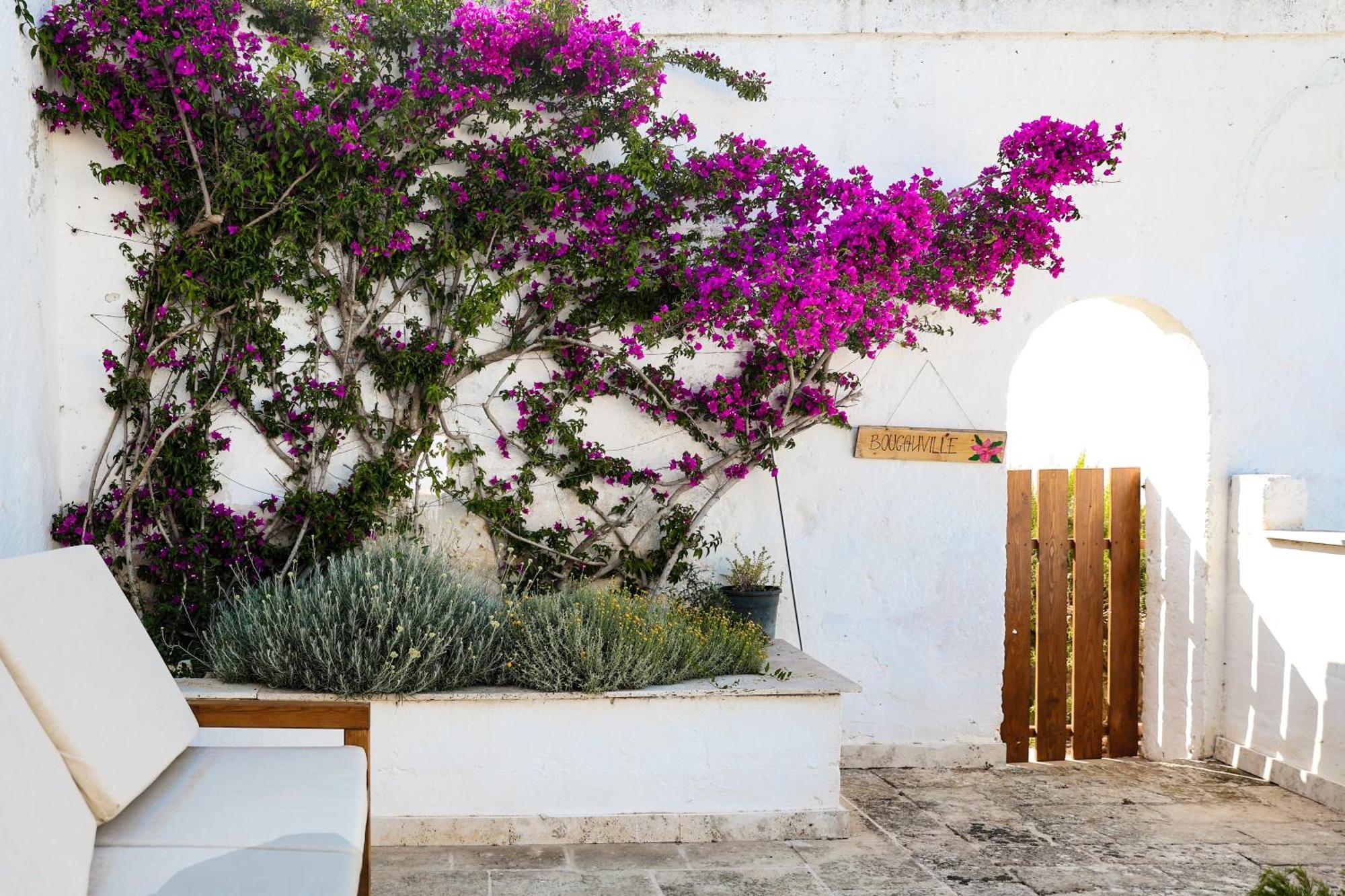 Masseria Piccole Taverne Rosa Marina Exterior foto
