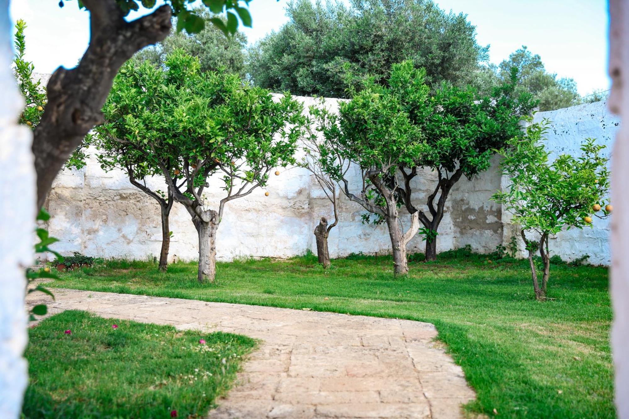 Masseria Piccole Taverne Rosa Marina Exterior foto