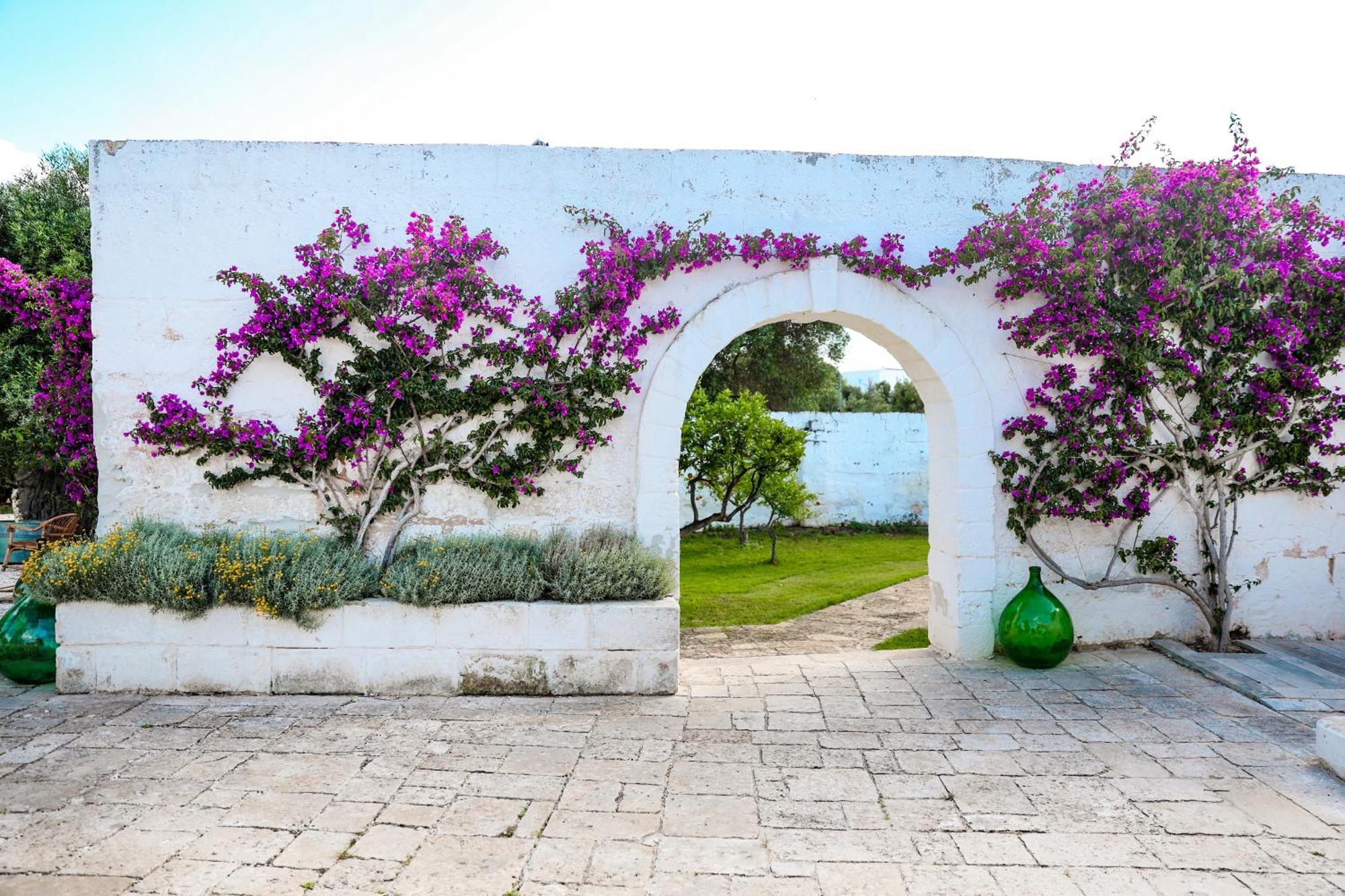 Masseria Piccole Taverne Rosa Marina Exterior foto